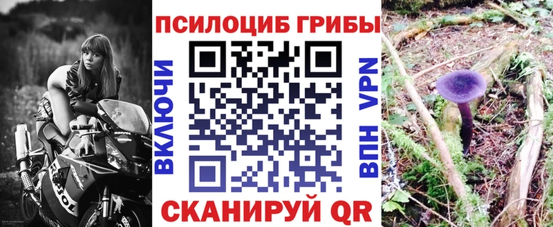 Галлюциногенные грибы Psilocybine cubensis  Лабинск 